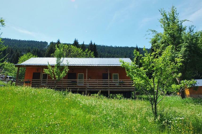 Cottage Shgedi Mestia Extérieur photo